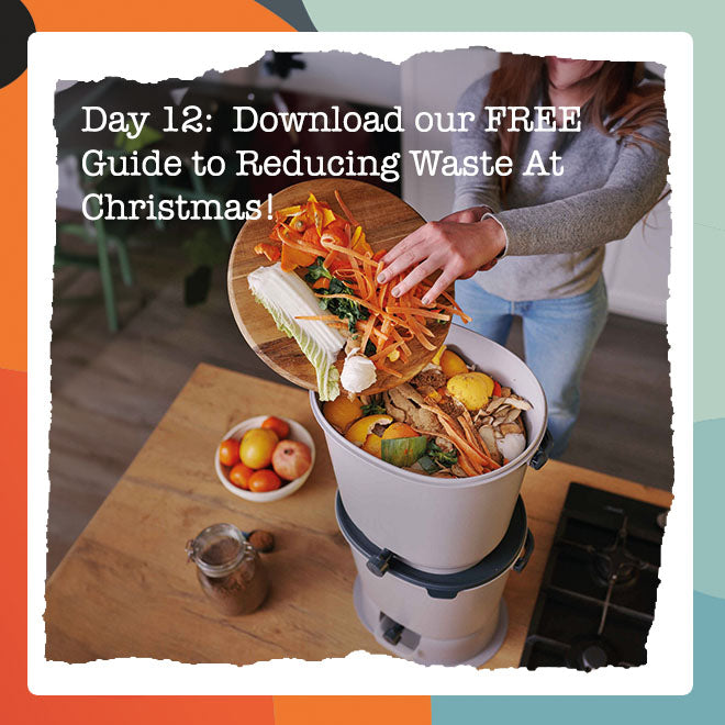 Wiggly Advent Calendar Day 12: Unwrap Your Free Guide to Composting This Christmas!