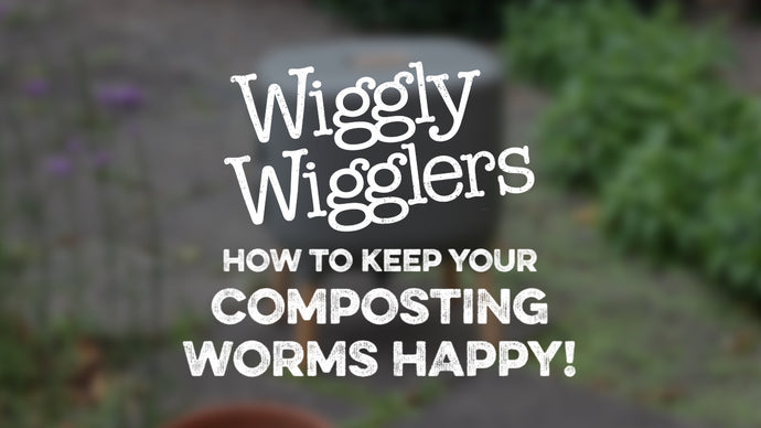 WW Video: HOW TO KEEP YOUR COMPOSTING WORMS HAPPY
