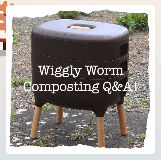 Top Wormery FAQs: Essential Tips for Successful Worm Composting