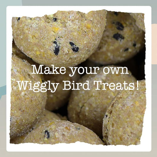 How to Make Your Own Bird Suet Treats: A Simple Guide