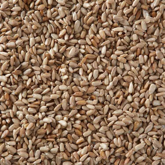 Bring Your Garden to Life with Wiggly Wigglers Sunflower Hearts!
