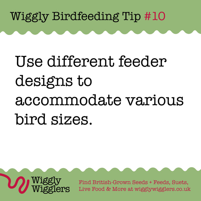 Choosing the right size bird feeder is crucial for attracting a variety of British birds to your garden.