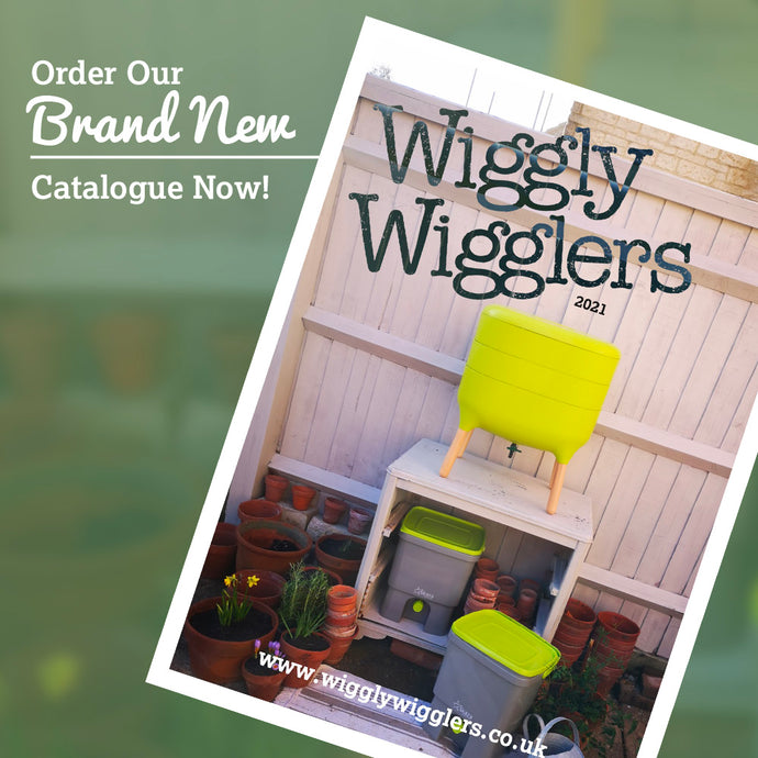 Our Brand New WIGGLY CATALOGUE is HERE - Order your copy today!