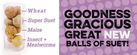 Introducing our NEW SUET BALLS!