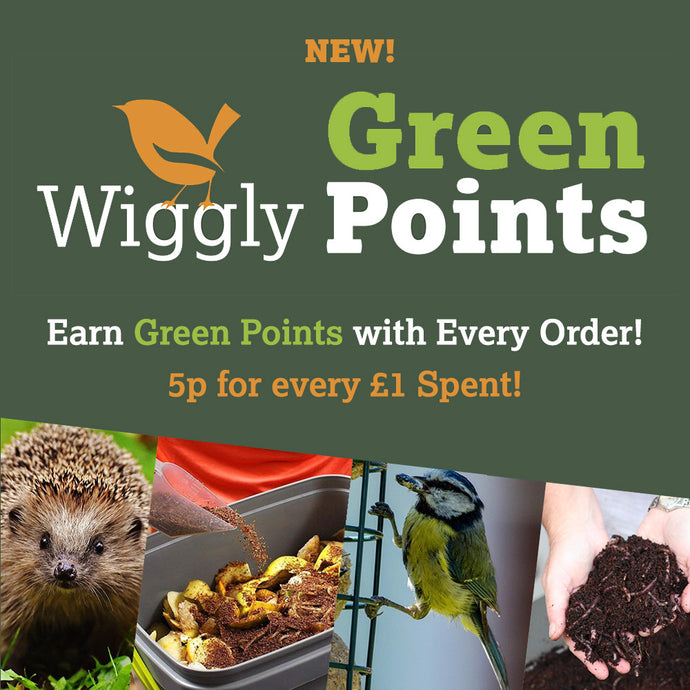 Our New Loyalty Scheme is Here -Collect Green Points Now!