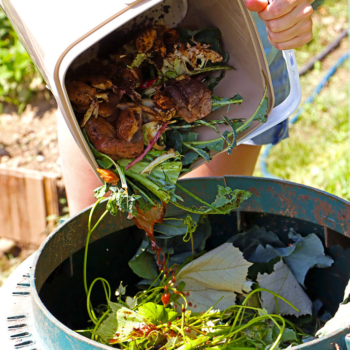 Composting in an Apartment