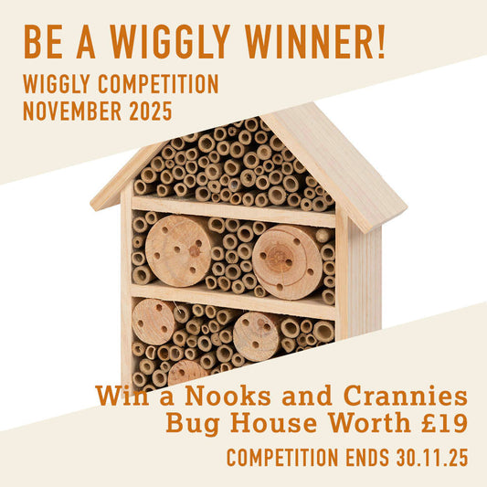 WIN WITH WIGGLY - November 25 - Win a Nooks and Crannies Large Insect/ Bug House Worth £19