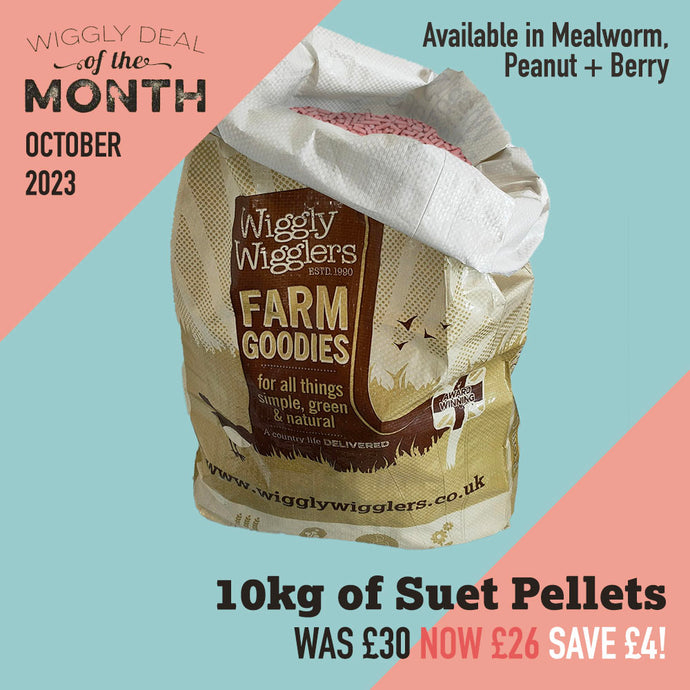 Our Deal of the Month October 2023 - 10kg of Suet Pellets - Just £26, Save £4!