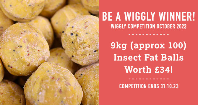 WIN WITH WIGGLY OCTOBER 2023 – 9KG OF INSECT FAT BALLS - APPROX 100 BALLS - WORTH £34!