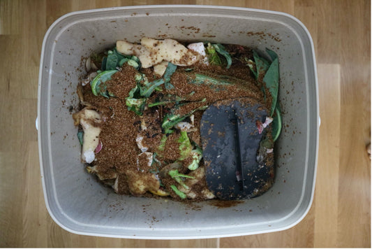 5 reasons why spring is a great season to start composting
