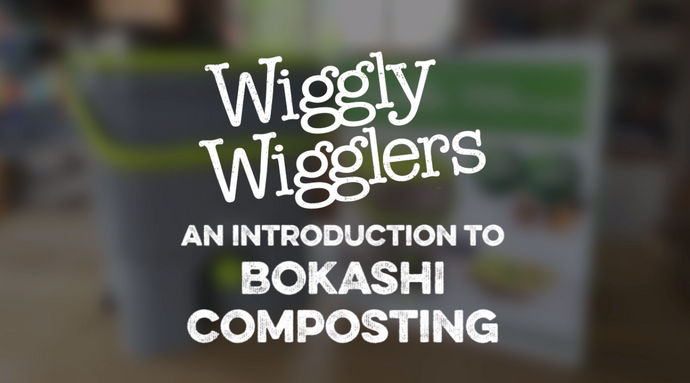 INTRODUCTION TO BOKASHI | WIGGLY WIGGLERS VIDEO