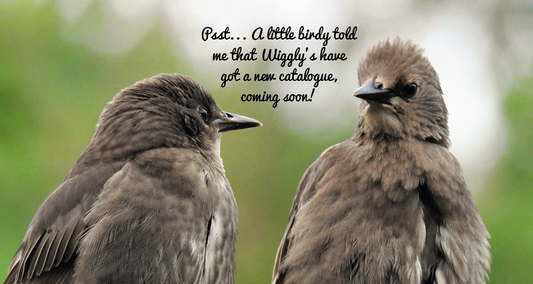 Our Christmas 2020 Catalogue is landing very soon!