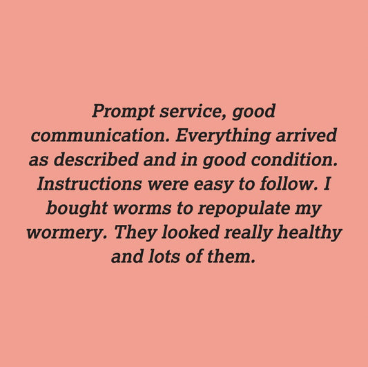 We Provide Excellent Service - But don't just take our word for it.... Check out these reviews :)