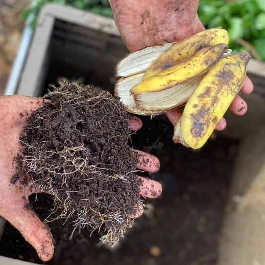 Food Waste & Feeding Subpod