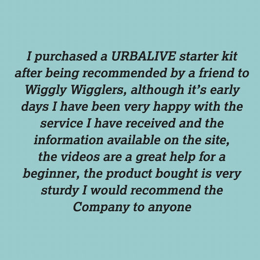 Some MORE Lovely Comment about our Wiggly Service :)