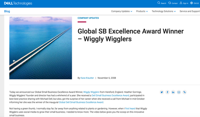 Wiggly Wigglers wins the Dell Global Small Business Excellence Award
