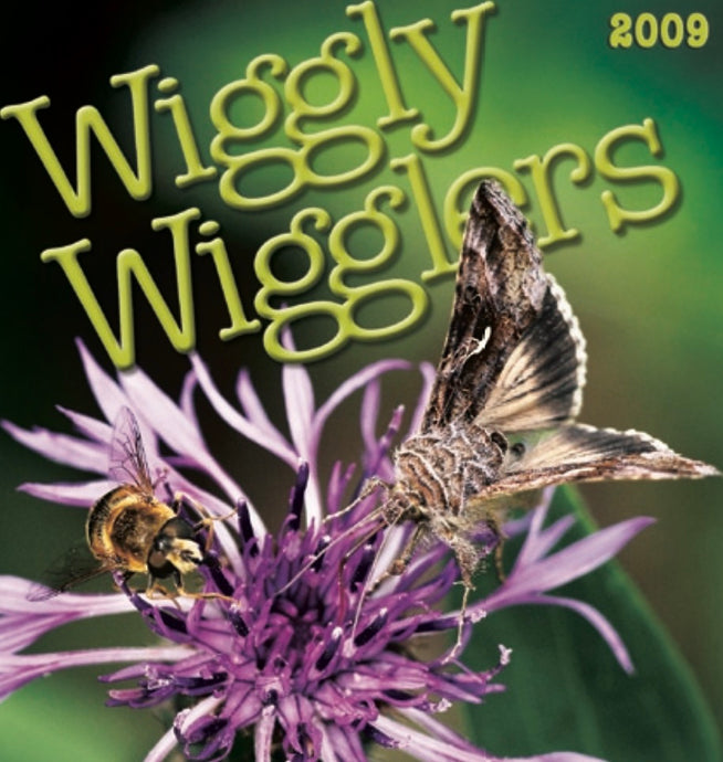 Our Wiggly Catalogue