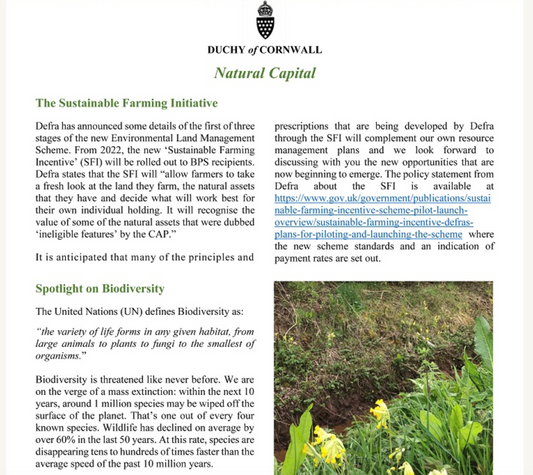 Prince Charles and Natural Capital