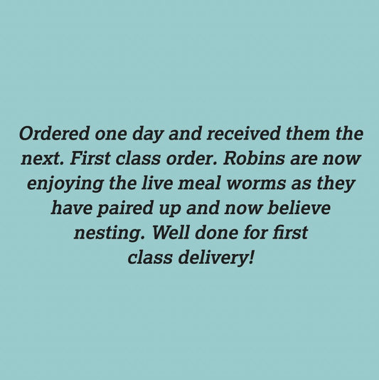 Cracking Customer Feedback :)