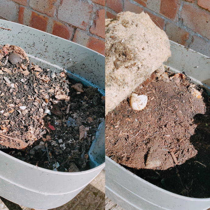 How to Use your Worm Compost