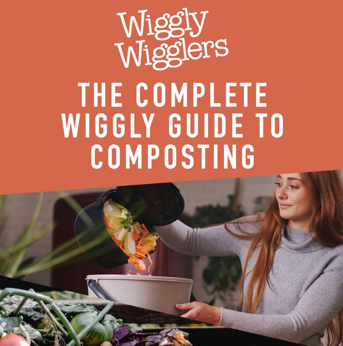Signup to receive our Wiggly E-News and you'll get our Free Composting Ebook!