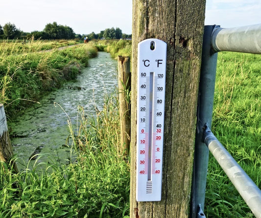 What temperature works best for a worm composting kit?