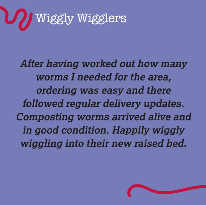 Thanks for these Cracking Reviews from our Wiggly Customers!