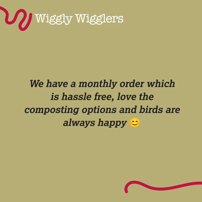 5* Reviews from our Wiggly Customers