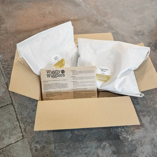 From Farm to Front Door: How Wiggly Wigglers Nails Delivery Every Time