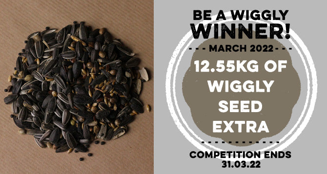 Win with WW March 2022 - Win a 12.55kg bag of Wiggly Seed Extra - worth £24!