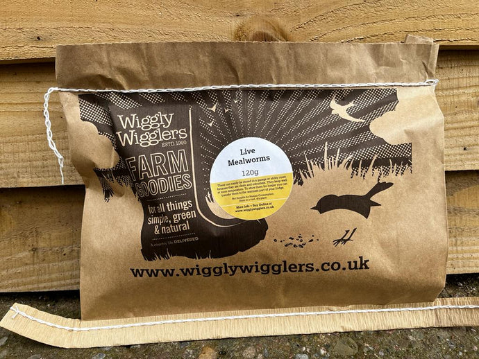 Our LIVE Mealworms are now delivered in paper bags instead of tubs – it’s a change but we promise it’s a good one…