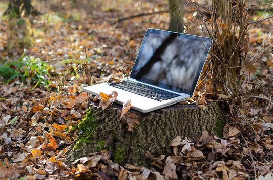 Five Top tips for a greener workplace