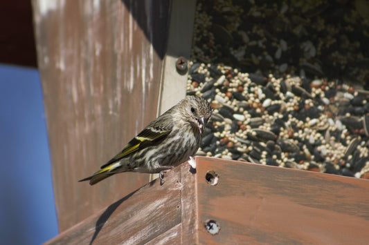 Great British Birdfood
