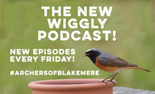 Coming this friday....