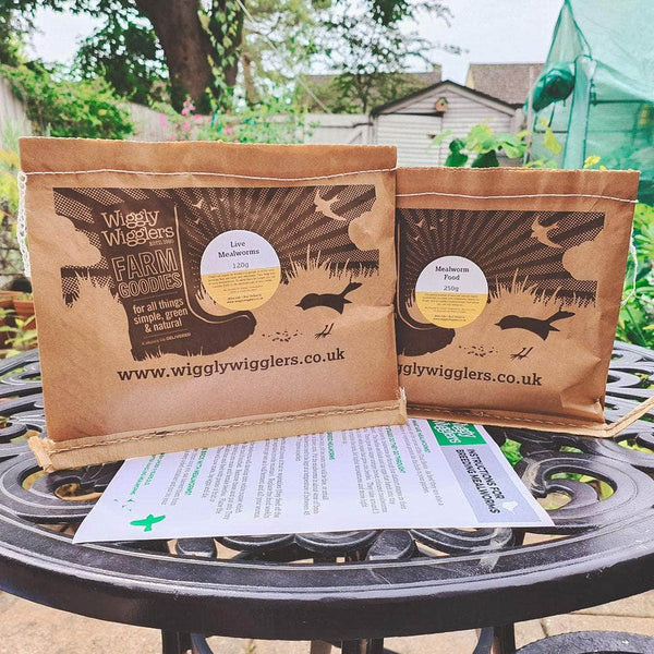 Mealworm Breeding Kit Wiggly Wigglers