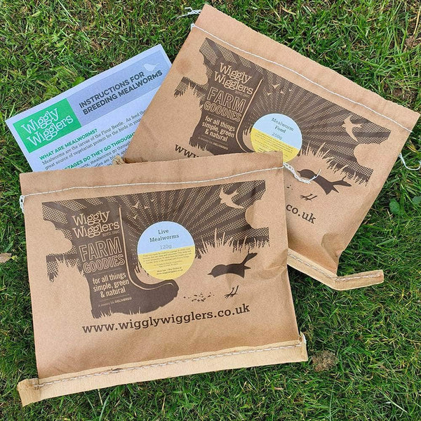 Mealworm Breeding Kit Wiggly Wigglers