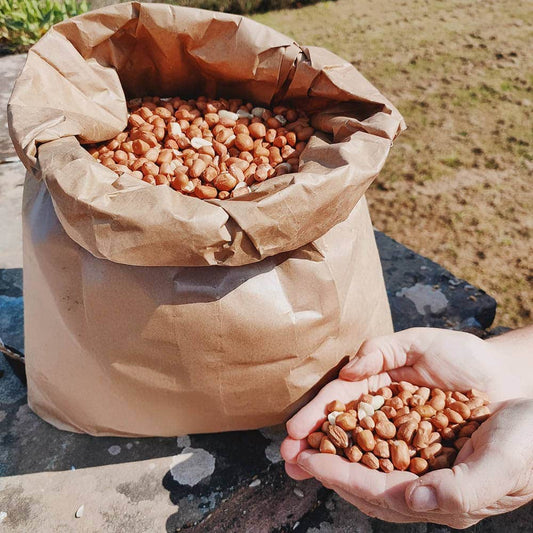 Click & Collect Premium Peanuts 2x12.55kg