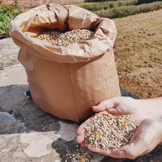 Click & Collect Wiggly Softbill Mix 2x12.55kg