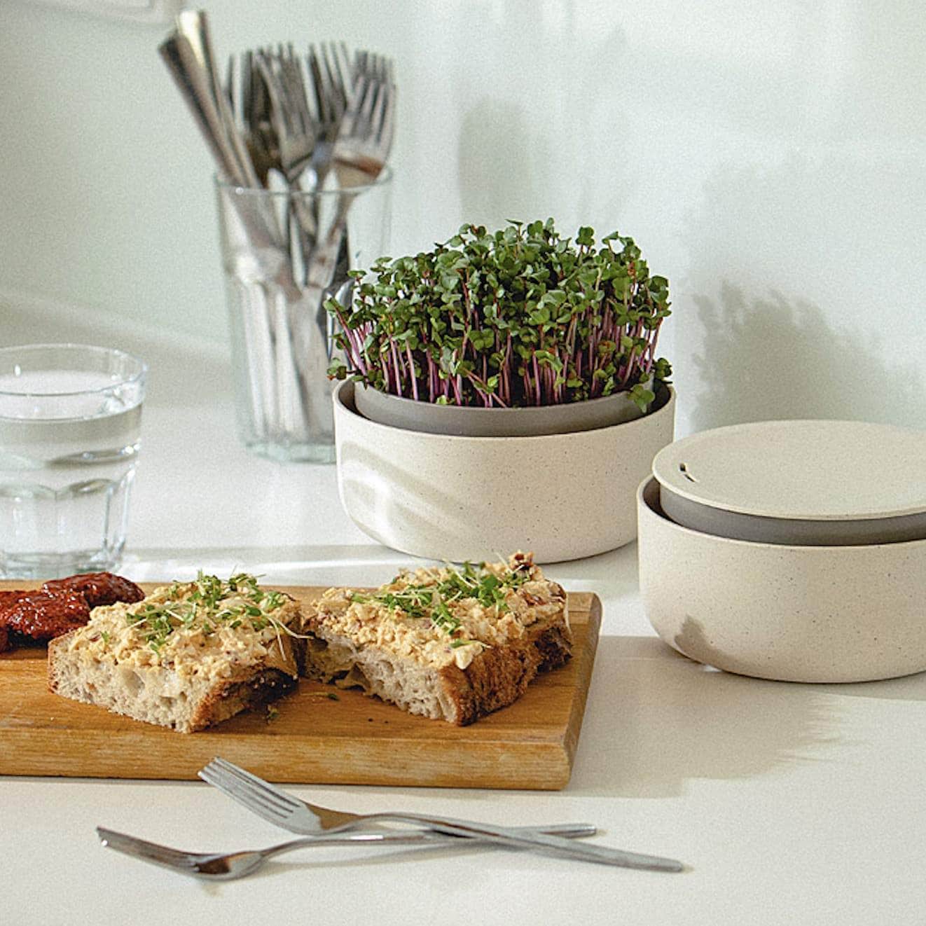 Microgreens + Regrow - Wholesale
