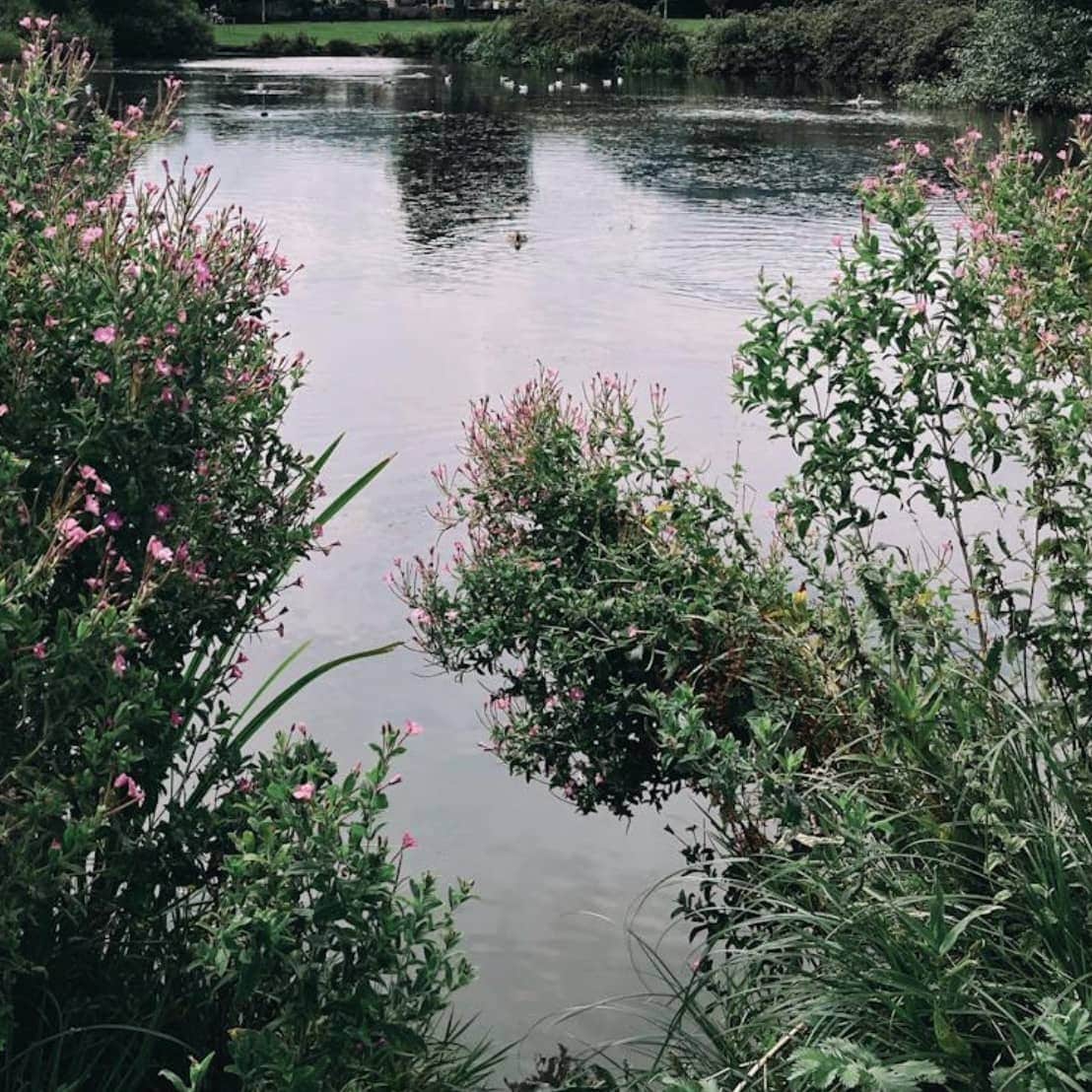 🌸 Tip in Wildflowers