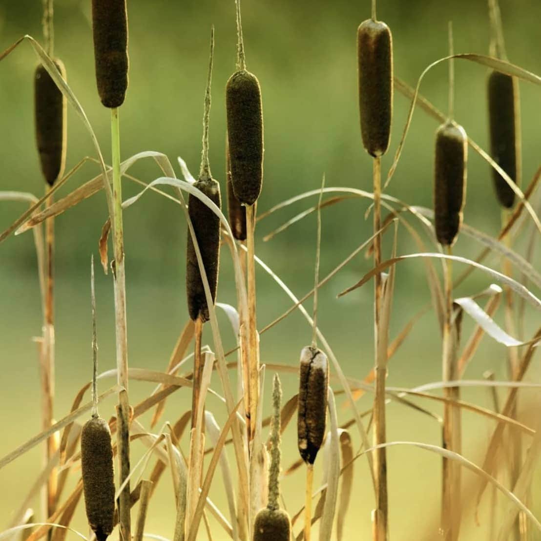 💧 Tip in Clean Water