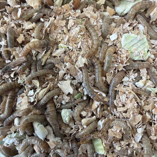 Wiggly Farm Blend for Live Mealworms