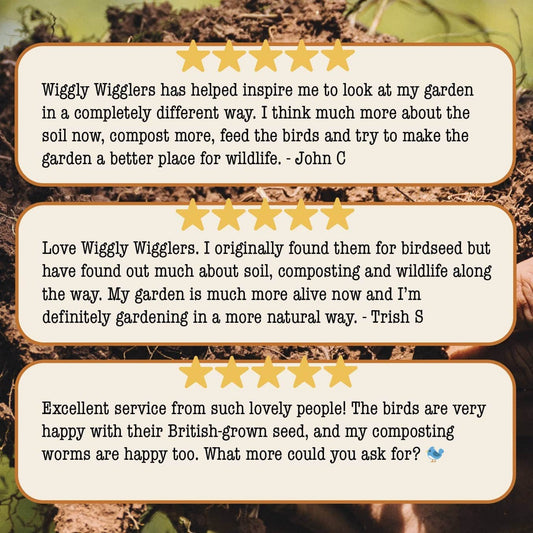 Live Mealworms for Wild Birds & Hens