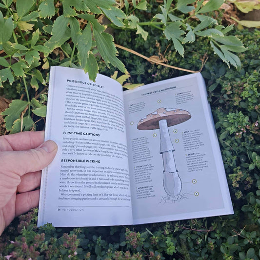 The Wild Food UK Mushroom Foraging Guide