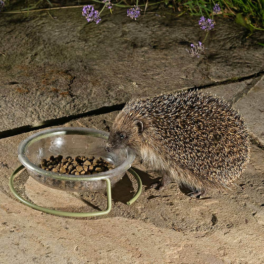 Vale's Hedgehog Food