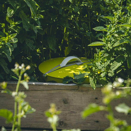 In-Ground Worm Farm from Plastia and Wiggly Wigglers - Green