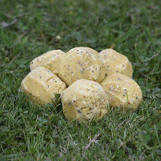 Click & Collect British Insect Fatballs 4.5kg