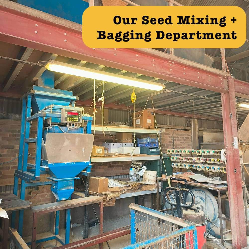 Wiggly Seasonal Birdfood Mix