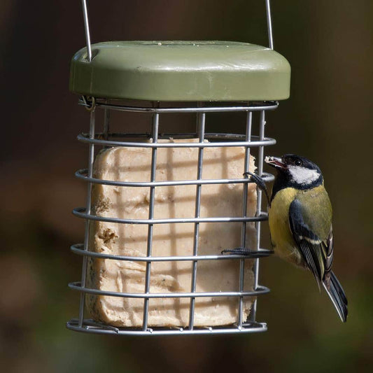 See The Difference Suet Cake - Variety Pack of 6