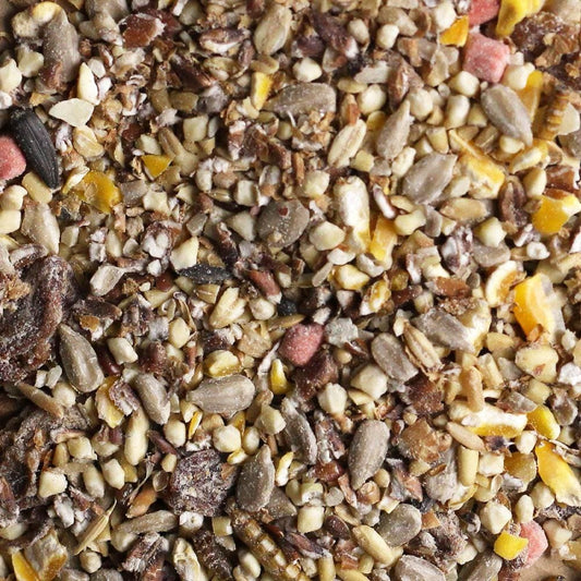 Birdfood LBF Wiggly Softbill Mix